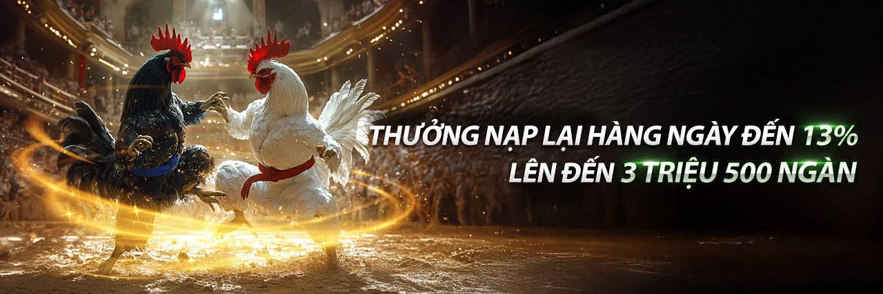Trực tiếp đá gà Thomo 24/6